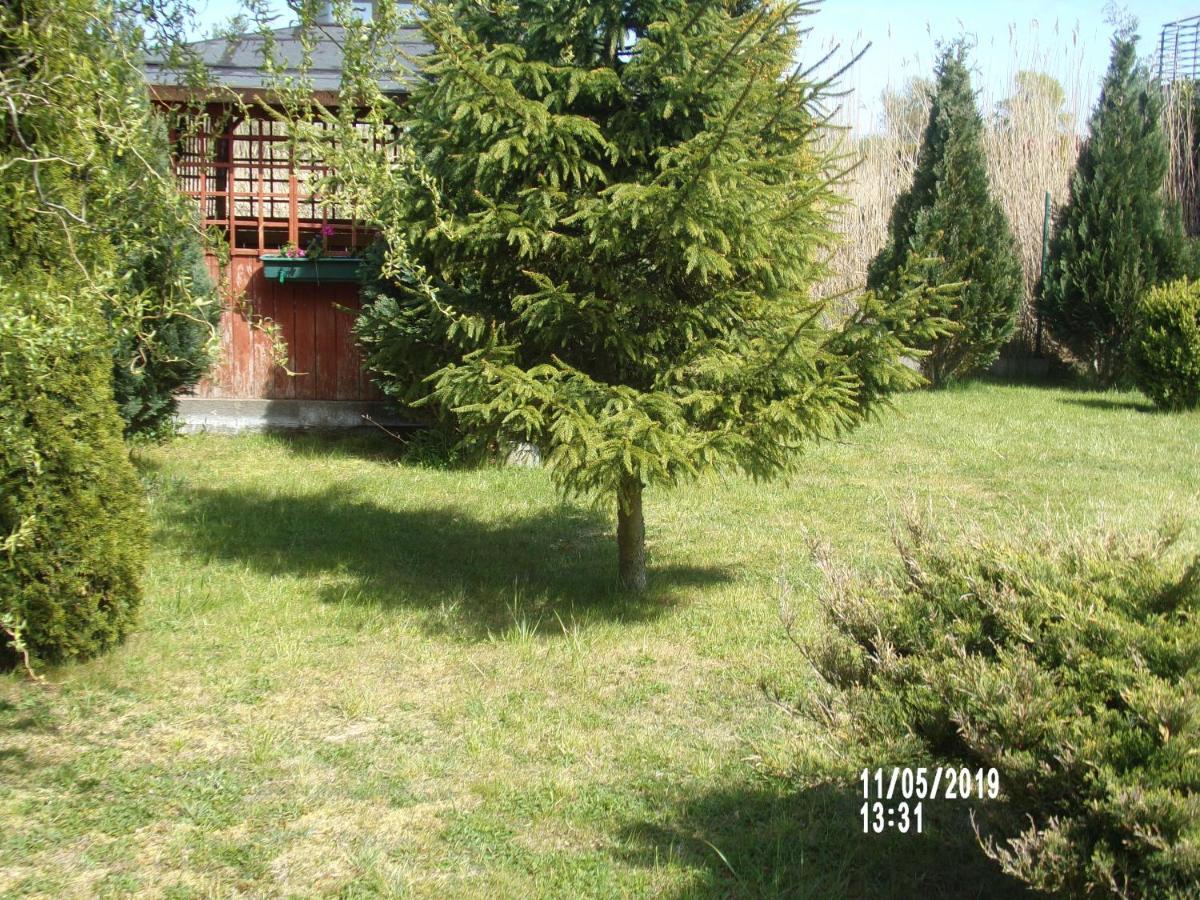Villa Iwona Grzybowo  Exteriér fotografie